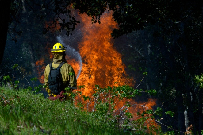 Marin Voice:  Insurance officials embrace strategies to protect against wildfires