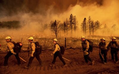 Thousands of firefighters battle wildfires burning more than 850,000 acres across 12 states