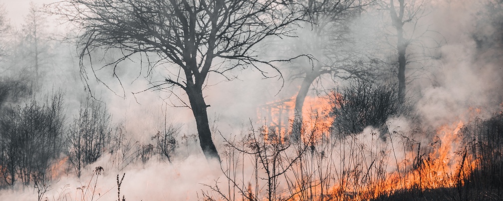 hill_fire4_72_04_22