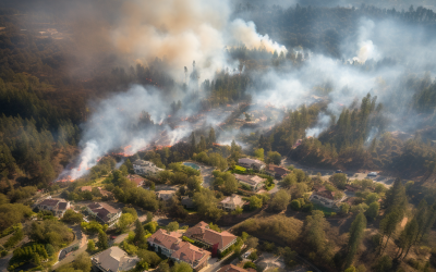 Navigating the Blaze: Advanced Wildfire Mitigation Strategies in an Era of Rising Insurance Costs